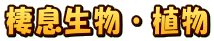 EA